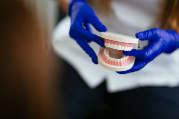 Trusted Rincon Valley, AZ  Holistic Dental Services Experts